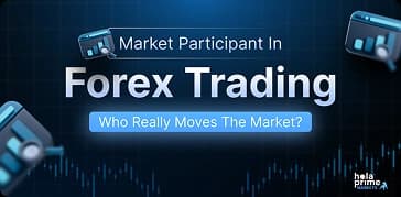 Market Participant in Forex Trading: Who Really Moves the Market?
